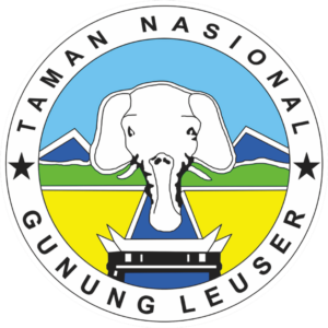 03022025120246_TNGL PNG