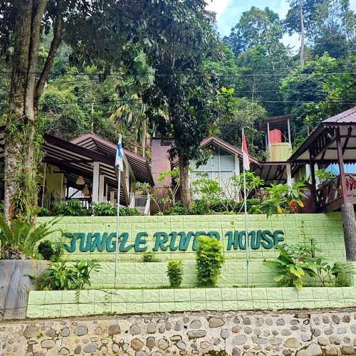 Jungle River 1